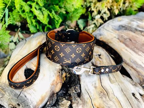 louis vuitton pitbull collars|louis vuitton collar and leash.